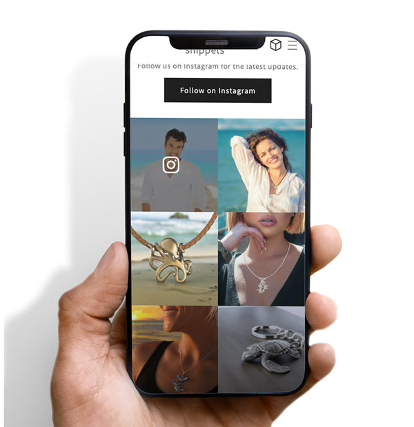 Instagram Gallery For All Themes