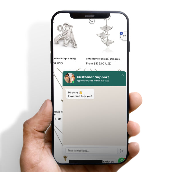 WhatsApp Chat Box