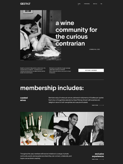Showcase of website Storefront