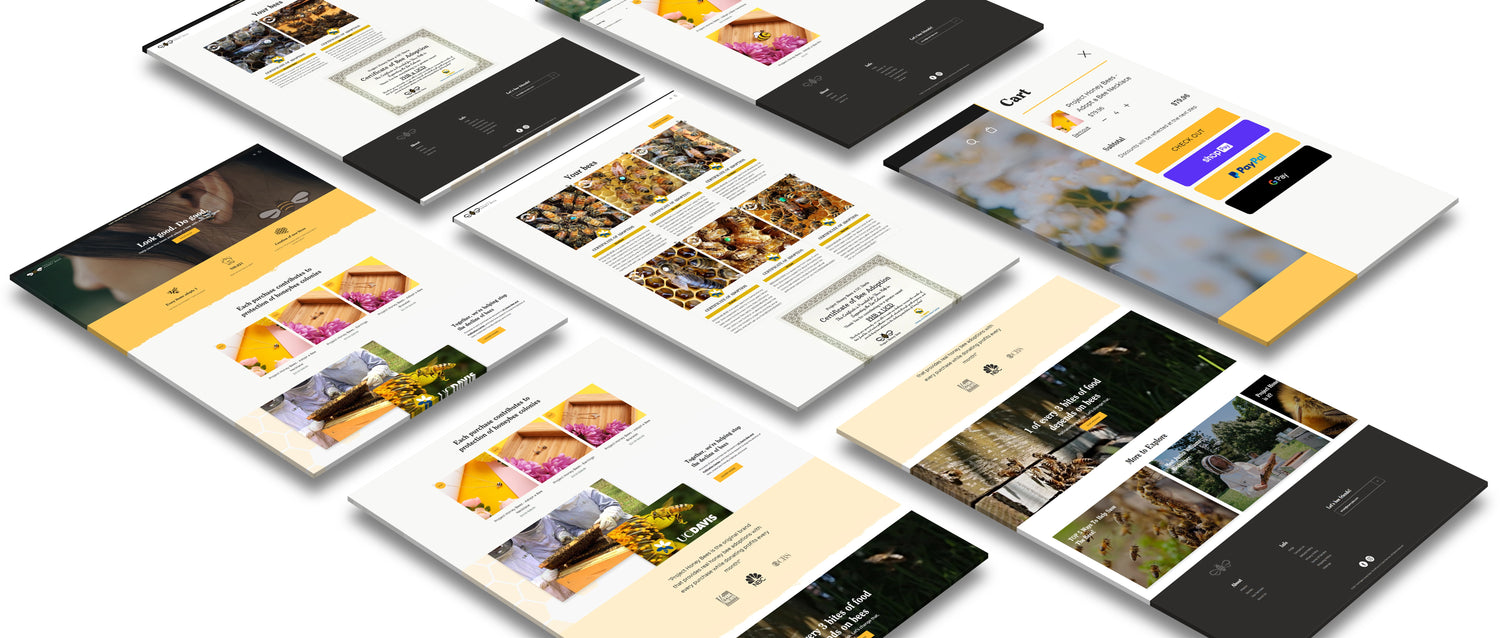Custom Shopify theme design  and development  by Ecomgraduates   | EcomGraduates