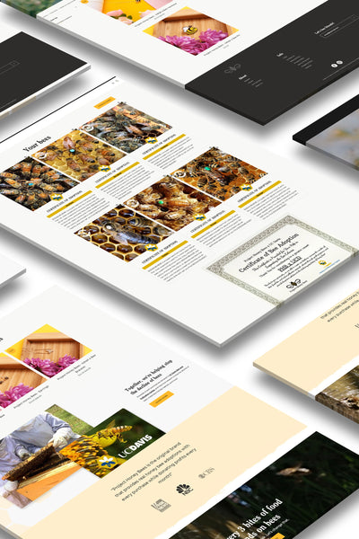 Custom Shopify theme design  and development  by Ecomgraduates   | EcomGraduates