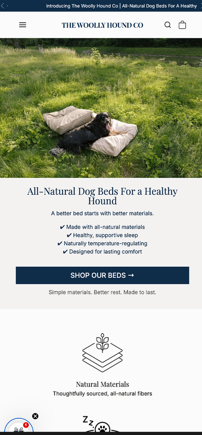 Showcase of website Storefront